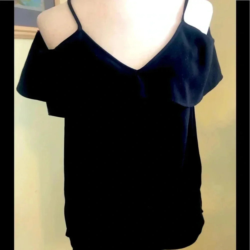 Ann Taylor top